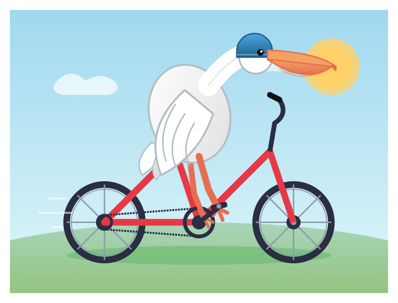 Group B pelican-3